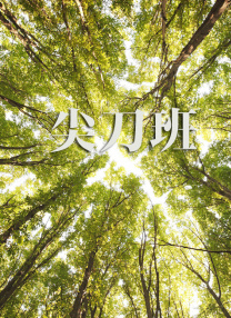 欧美亚洲另类一区中文字幕
